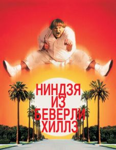 Ниндзя из Беверли Хиллз (1997) – постер фильма